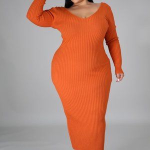 NWT Plus ribbed bodycon Dress